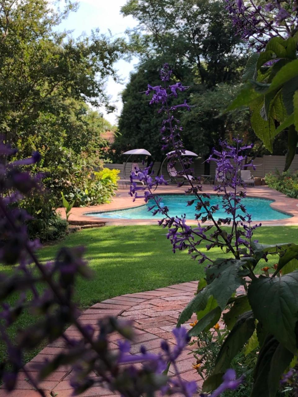 The Haystack On Homestead Johannesburg Exteriör bild